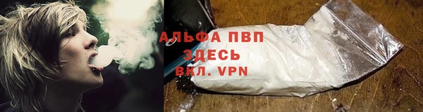 гашик Саяногорск