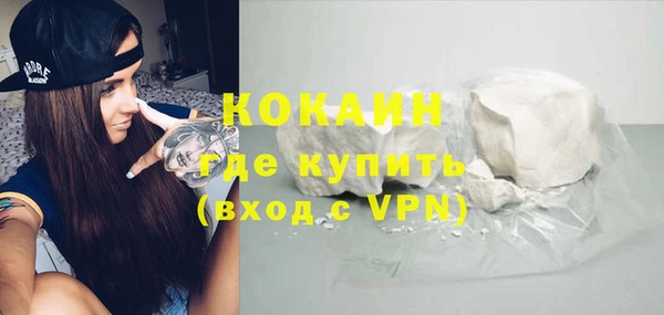 индика Семёнов