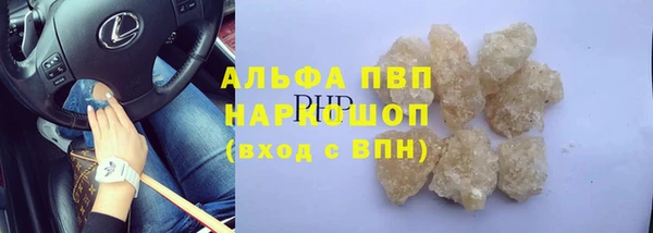 индика Семёнов