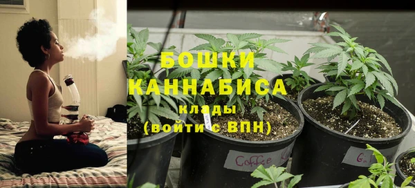 гашик Саяногорск
