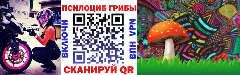 Галлюциногенные грибы Psilocybine cubensis Игра